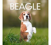Beagle Calendar 2027: Dog Portraits and Breed Scenes