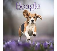 Beagle Calendar 2027: Dog Portraits and Breed Scenes