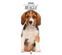 Beagle.Calendario 2026. Long