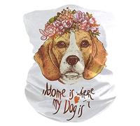Beagle Dog with Flower Wreath 26X30Cm Antiscivolo Passamontagna Durevole Sciarpa A Tubo per Sports Escursionismo Uomo