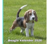 Beagle kalender 2026