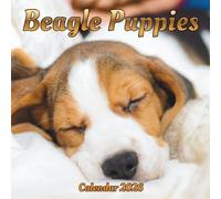 Beagle Puppies Calendar 2026: 12 month Organizer Jan 2026 to Dec 2026