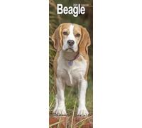 Beagle Slim 2025 Slimline Wall Calendar | Dog Breed Calendar