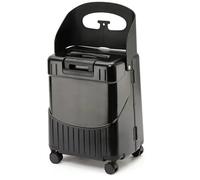 BEAHING Porta bene i bagagli con sedile per bambini, 20 bagagli con sedile per bambini in valigia per bambini con ganci tod e borsa, nero