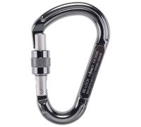 Beal - Be Lock Screw - Moschettoni a ghiera grigio