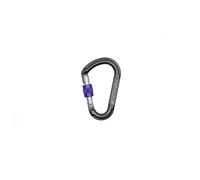 Beal - Be Lock Screw - Moschettoni a ghiera grigio