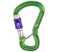 Beal Orient Express Screw - moschettone Green