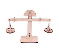 BEALIFE Kit di modelli scientifici Bilancia fai da te per bambini Divertenti progetti di pesatura ed esperienze apprendimento precoce della matematica Progetti fai da te