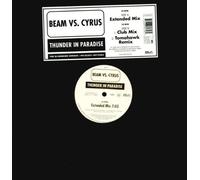 Beam Vs. Cyrus - Thunder in paradise (Ext./Club/Tomahawk Remix, 2000) / Vinyl Maxi Single [Vinyl 12'']