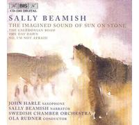 Jens Braun The Imagined Sound Of Sun On Stone (CD) Album