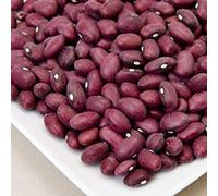 BEANS,Hidatsa Red Organic, Indian Red Beans, Heirloom (Half-runner) 200 seeds