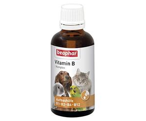 BEAPHAR - Complesso di vitamina B Per cani, gatti, roditori, uccelli - Trattamento vitaminico B1, B2, B6, B12 - Supporta le difese immunitarie - Stimola l'appetito - Aumenta il benessere - 50 ml
