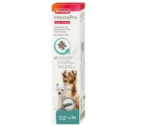 BEAPHAR - IntestoPro Pasta per cani - Con zeolite - Con MOS & FOS - Supporta l'equilibrio della funzione intestinale - 2 x 20 ml
