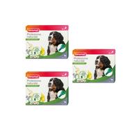 BEAPHAR SPOT ON CANE TAGLIA GRANDE 6 FIALE + TRASPORTO GRATIS