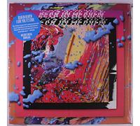Bear In Heaven I Love You, It's Cool (Vinyl LP) 12" Album
