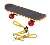 Bearded Dragon Harness, Adjustable Lizard Leash, Turtle Walking Rope, Reusable Lizard Toy, Chameleon Skateboard Set, Pet Turtle Rope, Tortoise Leash Set, Dragon Harness Rope, Tortoise Skateboard Toy