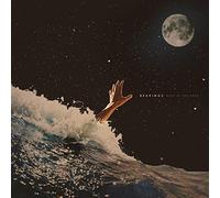 BEARINGS - BLUE IN THE DARK