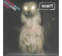 BEASTIE BOYS - MAKE SOME NOISE (CD SINGLE)