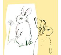 Beat Happening Look Around (CD) Album