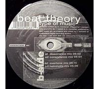 Beat Theory - Type of Music