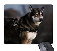 beatChong Gomma Mousepad gioco Ufficio Mouse Pad regalo Cane Husky animali Lonely Night antiscivolo