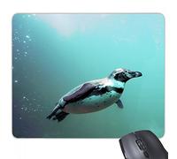 beatChong Gomma Mousepad Mouse Game Pad Regalo Mar Antartico Pinguino Creatura Scienza Natura Rettangolo Antiscivolo