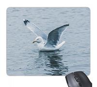 beatChong Gomma Mousepad Mouse Game Pad Regalo Ocean Water Sea Bird Scienza Nature Picture Rettangolo Antiscivolo