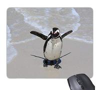beatChong Gomma Mousepad Mouse Game Pad regalo Scienza Natura Oceano Antartico Pinguino Creatura rettangolo antiscivolo