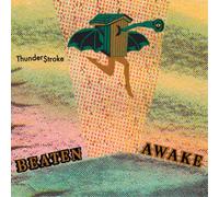 Beaten Awake Thunder$troke (Vinyl LP) 12" Album