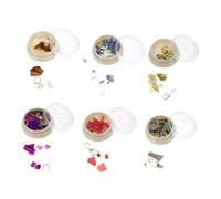 Beatifufu 1set Decorazione Unghie Guscio Di Mare Colori Di Decorazioni Delicate Per Nail Art Accessori Creativi Per Manicure Fai Da Te Risultati Professionali Casa
