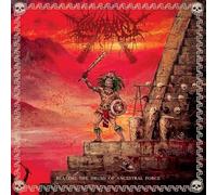 Beating The Drums Of Ancestral Force