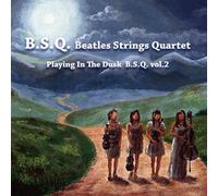 BEATLES STRINGS QUARTET - INTO THE DAYLIGHT V.2