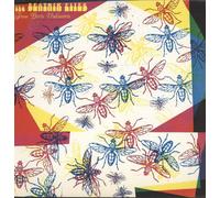 BEATNIK FLIES - From Parts Unknown