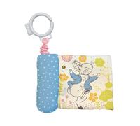 Beatrix Potter Peter Rabbit Buzzy Book (Rilegatura flessibile)