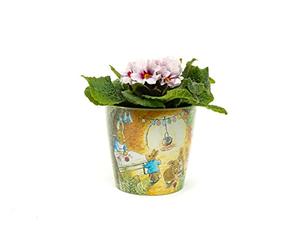 Beatrix Potter, set di 2 vasi ecologici con Peter Rabbit e Beatrix Potter, Peter & Mrs Rabbit At Home, Tom Kitten e Jeremy Fisher, set da 3