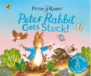 Beatrix Potter The World of Peter Rabbit: Peter Rabbit Gets S (Libro di cartone)