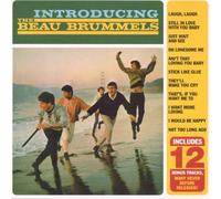 Beau Brummels - Introducing the Beau Brummels