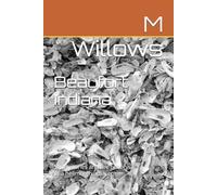 Beaufort Indiana: Short stories and the history of a hellmouth adjacent.
