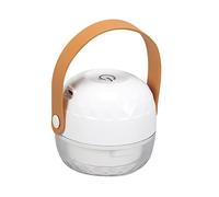 Beaupretty 1 Pc Raschietto elettrico vuoto riutilizzabile kit animale domestico carica usb culla cam electric lint remover levapelucchi ricaricabile maglione vestiti rasoio AbS