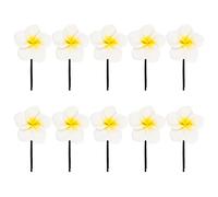 Beaupretty 10 pezzi Fermagli per Accessori per per Donne e Ragazze per Acconciature Eleganti e Cerimonie Hawaiane