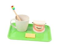 Beaupretty 1set Giocattoli Per Insegnare Spazzolare Didattico Per Orale Accessori Educativi Per Attività Apprendimento Pre-scolare