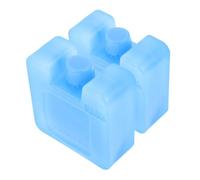 Beaupretty 2 Pezzi Contenitori per Ghiaccio Riutilizzabili in PE Design Compatto e Raffinato, per Frigoriferi Portatili e Borse Termiche in Ogni Condizione