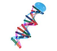 Beaupretty Dna Doppia Educativo per Studenti Kit Assemblaggio Interattivo per Biologia e Genetica Strumento Didattico Robusto e Affidabile per Scuola e Ricerca