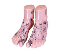 Beaupretty Piede Anatomico Con Zone Di Riflessologia e Punti Di Agopuntura Materiale Robusto e Compatto Adatto Manipolazione e Studio Medicina Tradizionale Cinese