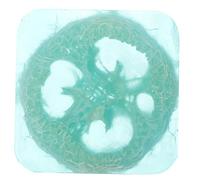 Beaupretty Sapone Di Luffa Fatto a Mano Luffa Naturale Saponetta Per La Pelle Saponetta Per Il Corpo Scrub Sapone Fatto a Mano Luffa Bagno Base Di Sapone Manuale Sapone All'olio Essenziale
