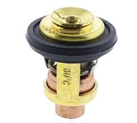 Beausoleil 19300-ZW9-003 19300-ZY3-023 19300ZY3023 19300ZW9003 Termostato del Motore della Barca per - Marine 8 9.9 15-225HP