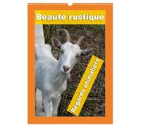 Beauté rustique Regards animaliers (Calendrier mural 2026 DIN A3 horizontal), CALVENDO calendrier mensuel: Des portraits d'animaux d'élevage mettant en valeur leur caractère unique.
