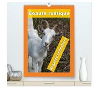 Beauté rustique Regards animaliers (Calendrier mural haut de gamme 2027 DIN A2 horizontal), CALVENDO calendrier mensuel: Des portraits d'animaux d'élevage mettant en valeur leur caractère unique.