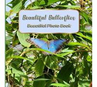 Beautiful Butterflies: Beautiful Photo Book