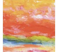 Beautiful Hummingbird - BEAUTIFUL HUMMING BIRD (BONUS